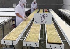 Trồng rau sạch bằng công nghệ hiện đại mang lại hiệu quả cao